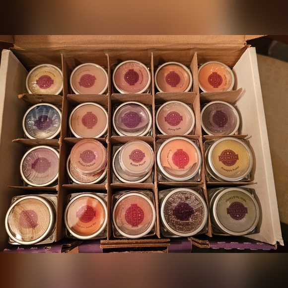 SCENTSY - Picture 2 of 3